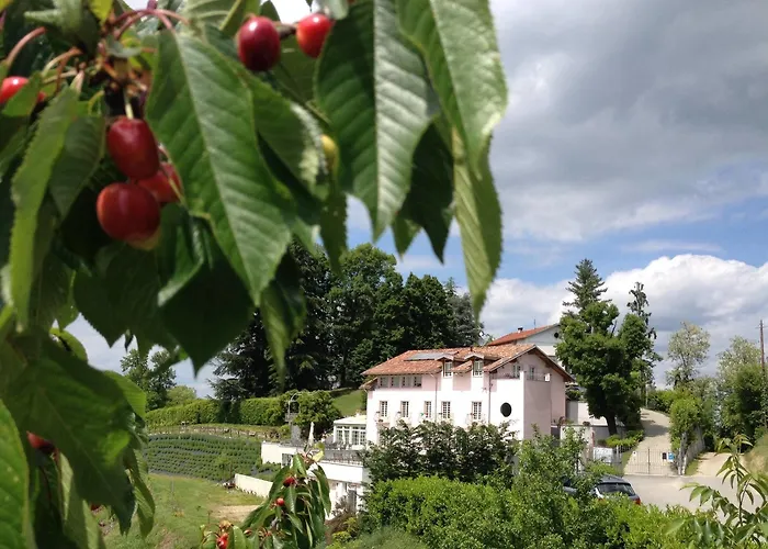 Hotell Del Piccolo Principe